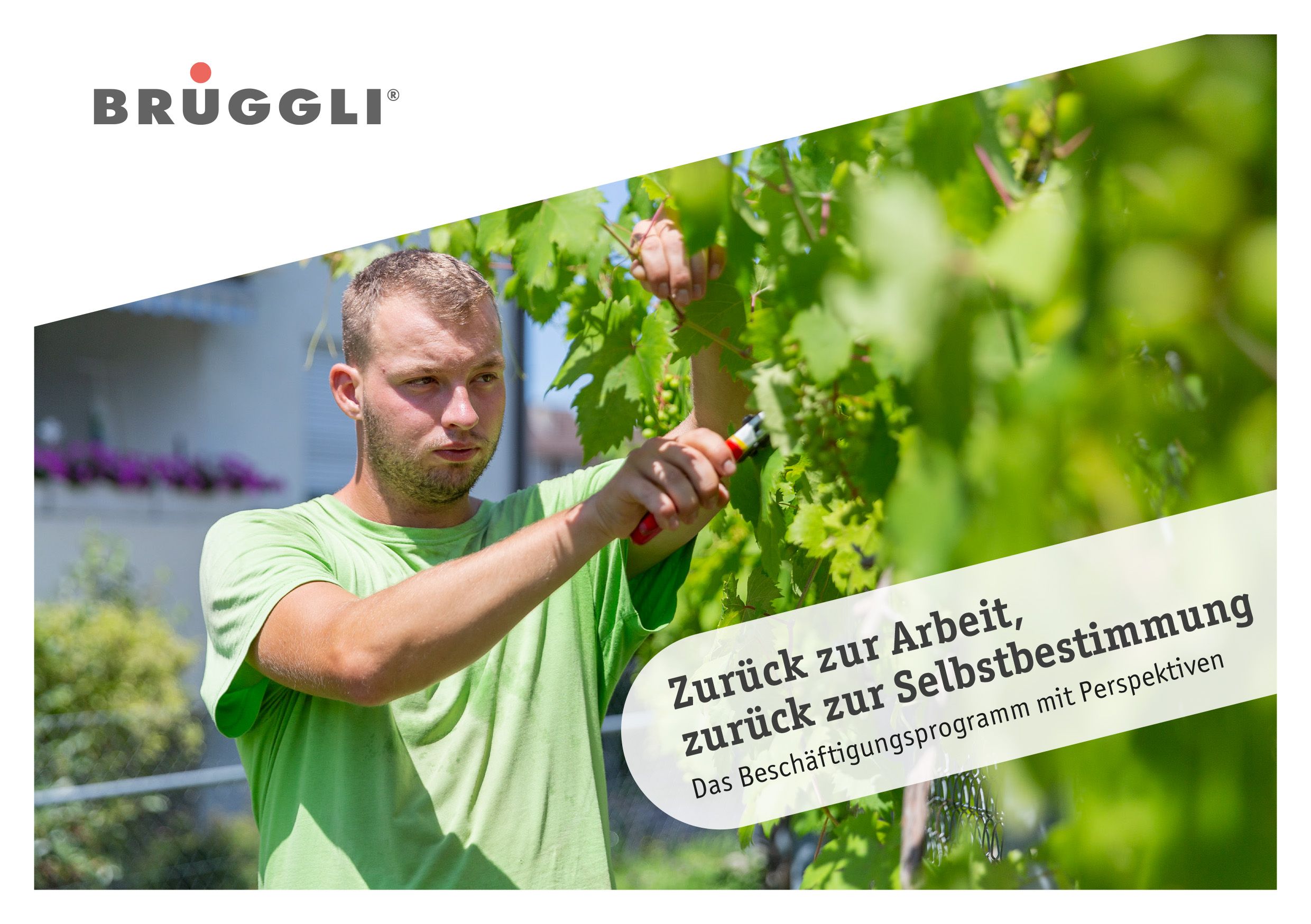 Zurück zur Arbeit, zurück zur Selbstbestimmung. Das Beschäftigungsprogramm mit Perspektiven.