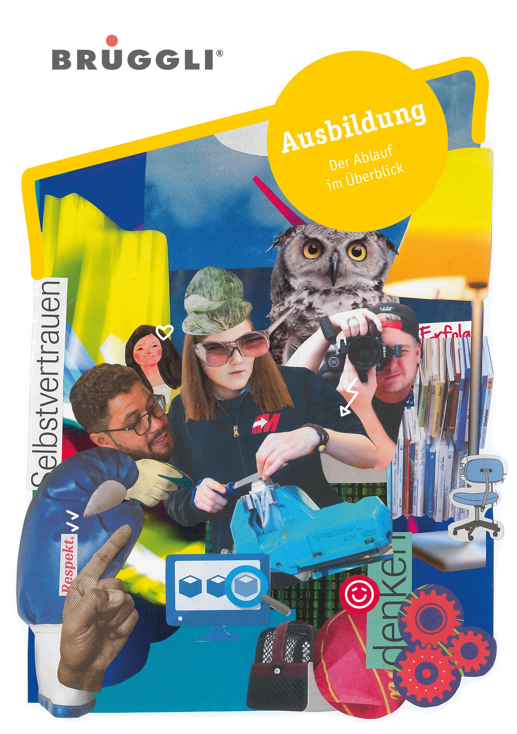 Ausbildung - Der Ablauf im Überblick