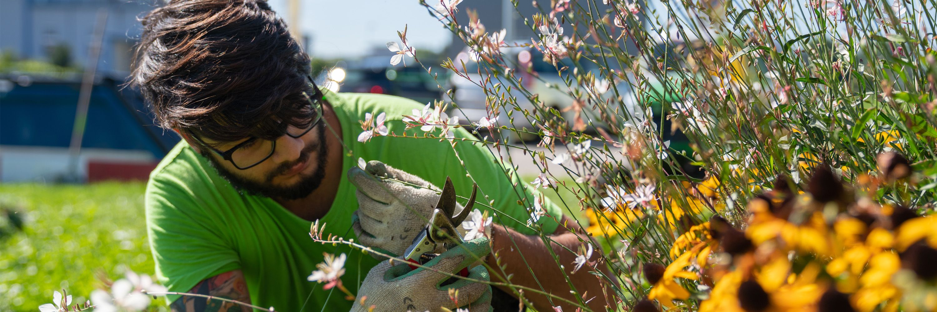 Brüggli Unterhalt & Technik beim Blumen Schneiden